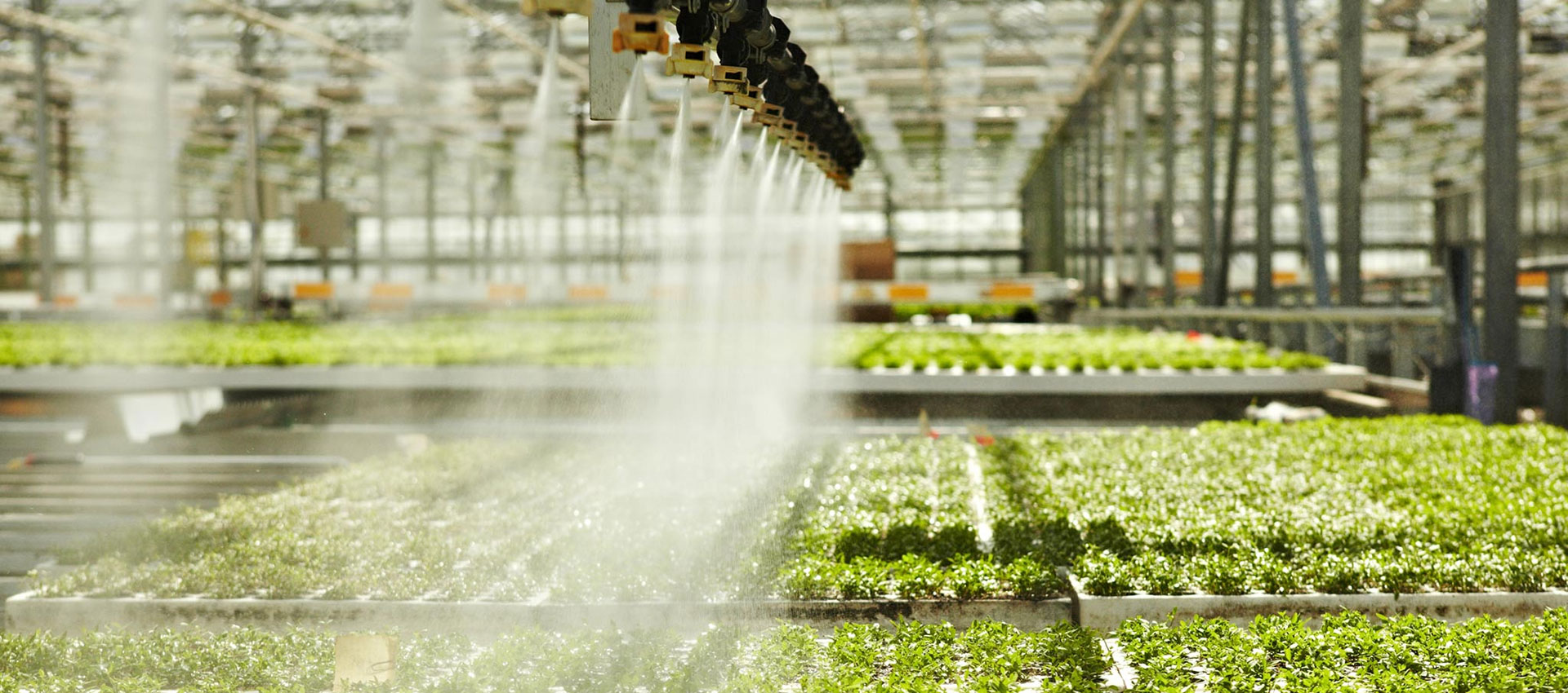 Irrigation agriculturae